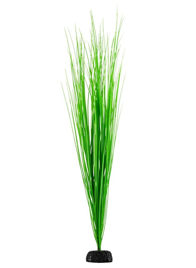 Underwater Treasures Green Hairgrass - 24"